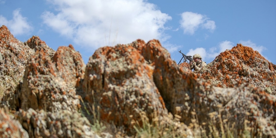 Kırmızı Bültenle Aranan Eylem Hazırlığındaki Pkk'lı Terörist Etkisiz Hale Getirildi