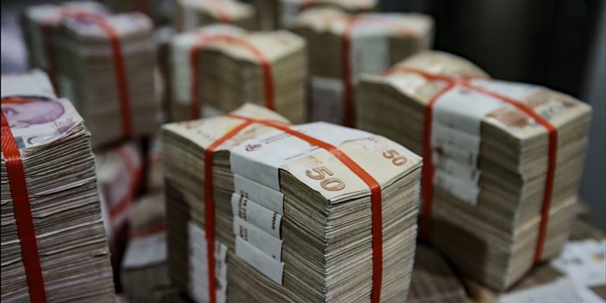 Ödenekte 'Aslan Payı' Hazine Ve Maliye Bakanlığının