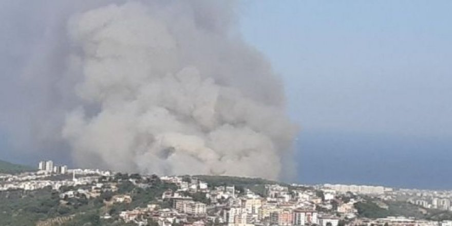 Hatay'daki Orman Yangını Yerleşim Yerlerini Tehdit Ediyor