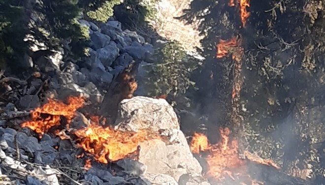 Kahramanmaraş'ta orman yangını