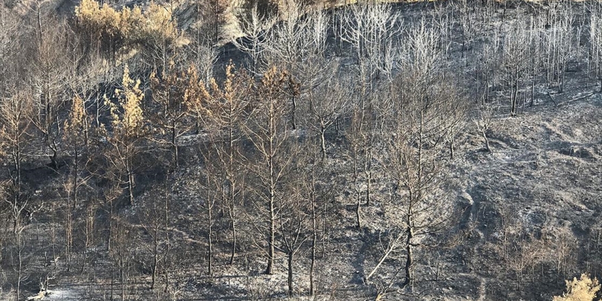 Hatay'daki Orman Yangınında Soğutma Çalışmaları Tamamlandı