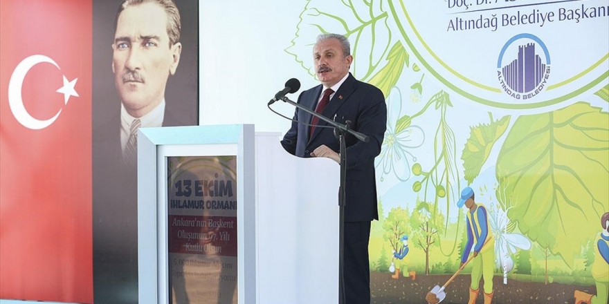 Tbmm Başkanı Şentop: Ormanlarımızı Yakarak Bize Zarar Vereceklerini Zannedenler Gaflet Çukurlarında Boğulacak