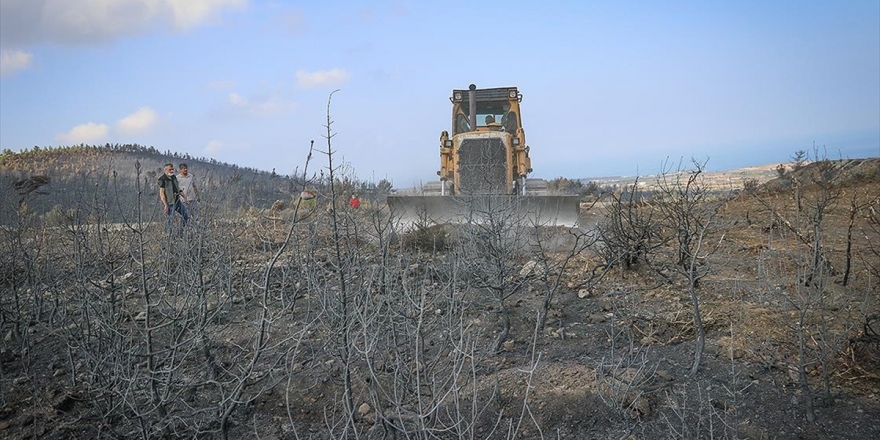 Sheffield United'dan Hatay İçin 'Fidan' Kampanyasına Destek