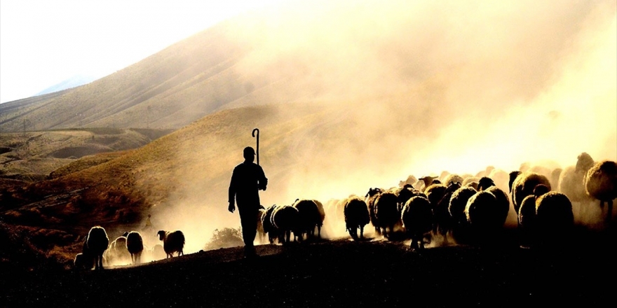 2020-2022 Döneminde Uygulanacak Hayvancılık Yatırım Destekleri Belirlendi