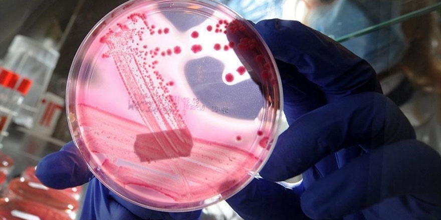 Vücudunda Yağ Oranı Artanlara Meme Kanseri Uyarısı