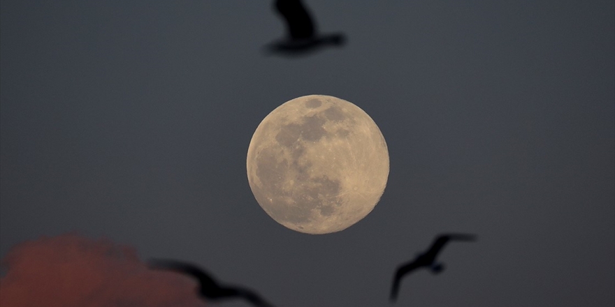 Nasa 26 Ekim'de Ay Hakkında Yeni Bir Keşif Açıklayacak