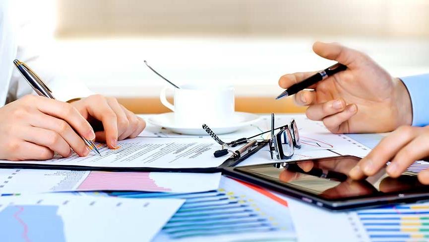 ‘Devlet artık istediği şirkete el koyabilir’