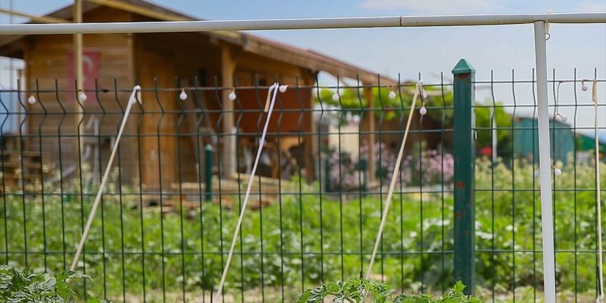 Tarım Alanlarındaki İzinsiz Yapılaşmaya Hapis Cezası Getiren Teklif Yasalaştı