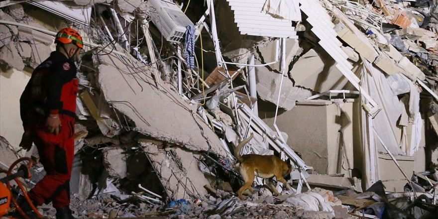 Hayat Kurtaran Köpekler, Arama Kurtarma Ekiplerinin Sağ Kolu