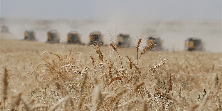 Kırsalda Projelerle Kalkınma Seferberliği