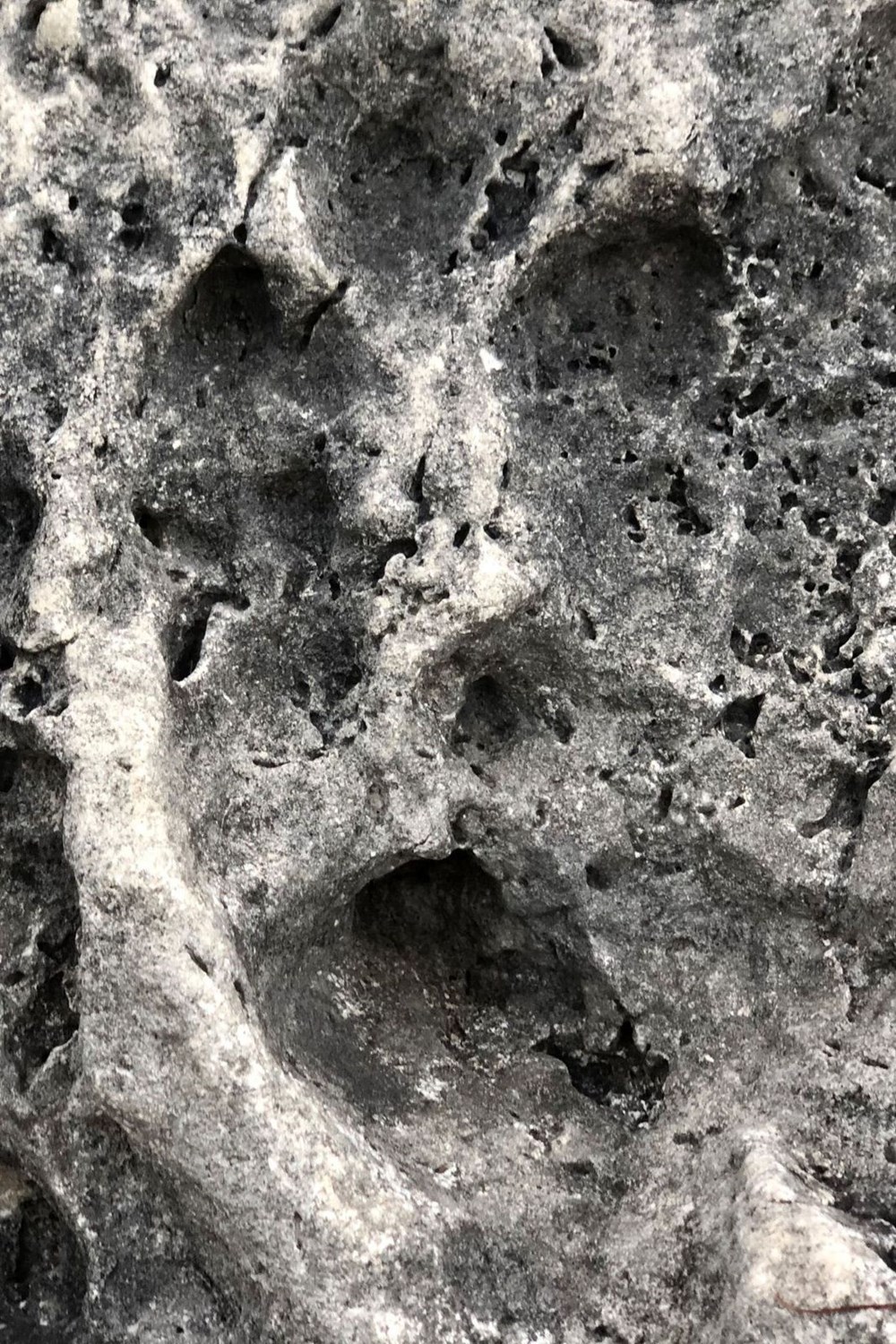 Eğirdir'de sular çekildi