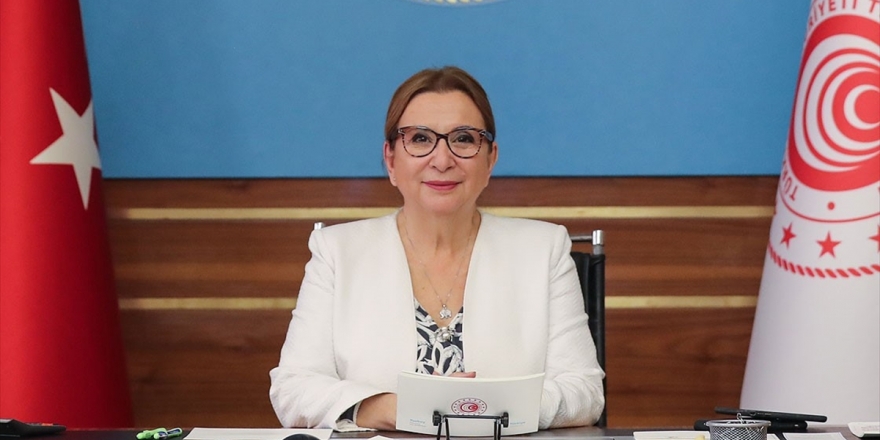 Bakan Pekcan: İhracatta Yeni Ve Tarihi Rekorlarla Hedeflerimiz Doğrultusunda Güçlü Adımlarla İlerliyoruz