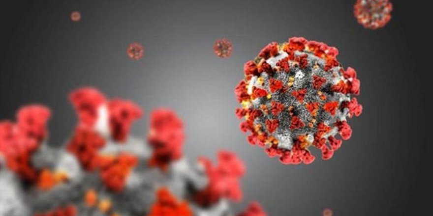 Haftalık corona virüsü vaka sayısı haritası açıklandı