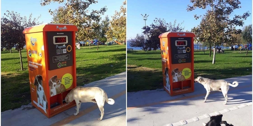 Kışın Sokak Hayvanlarının İmdadına 'Mamamatik' Yetişecek