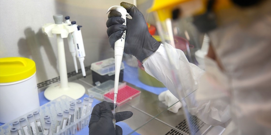 Kovid-19'un Genetik Kodunda 'Gizlenmiş' Bir Gen Keşfedildi