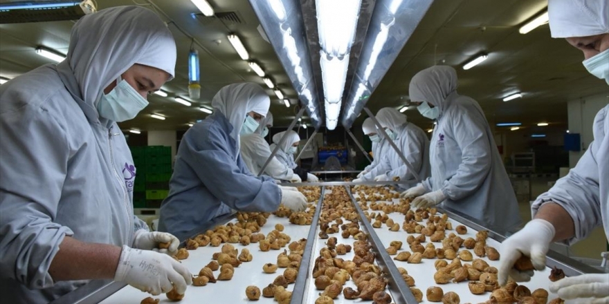 Kuru İncirde 1,5 Ayda 70 Milyon Dolarlık İhracat