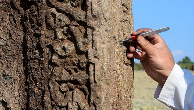 Likenleri temizlenen Selçuklu şahideleri tarihe ışık tutuyor