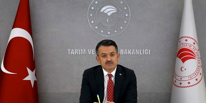 Geleneksel Kıyı Balıkçılığına 3 Yılda 28,2 Milyon Lira Destek