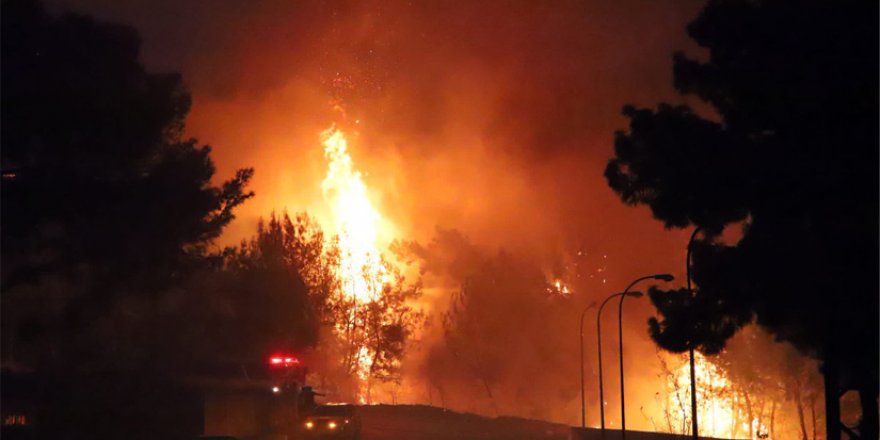 Hatay'da Orman Yangını
