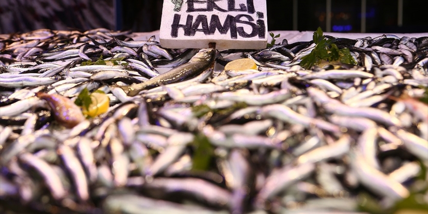 Karadeniz'de Hamsi Balıkçıların Ve Vatandaşın Yüzünü Güldürdü