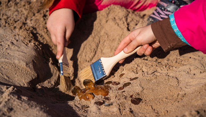 Beykoz’da yaklaşık 500 milyon yıllık fosiller bulundu