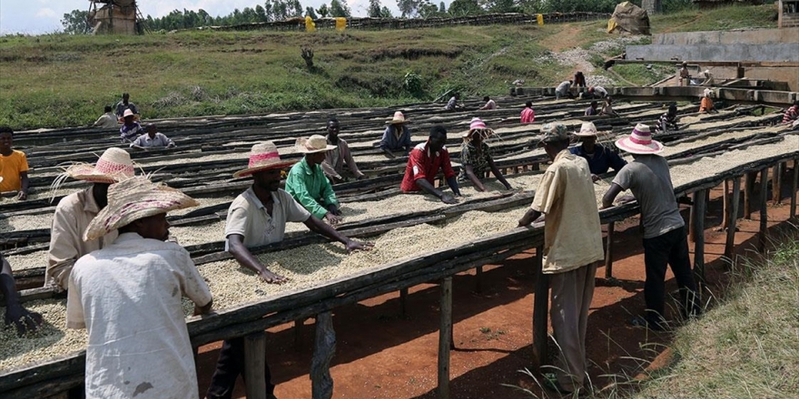 Dünyada Her Bin Kişiden 5,4'ü 'Modern Köleliğe' Maruz Kalıyor