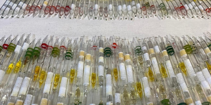 Hatay'da 152 Tüp Kobra Zehri Ele Geçirildi