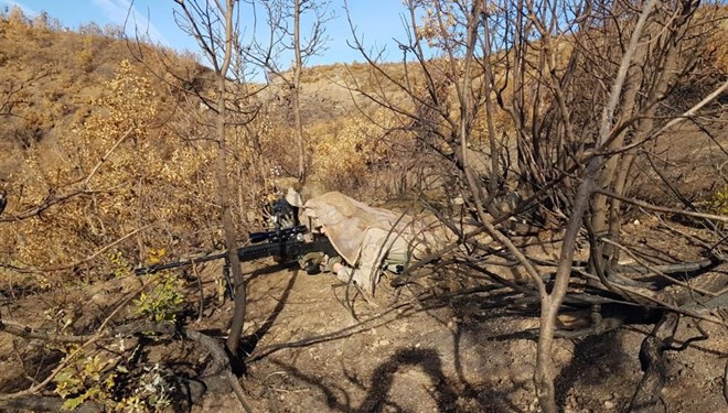 Bitlis'te 'Yıldırım-16 Sehi Ormanları Operasyonu'