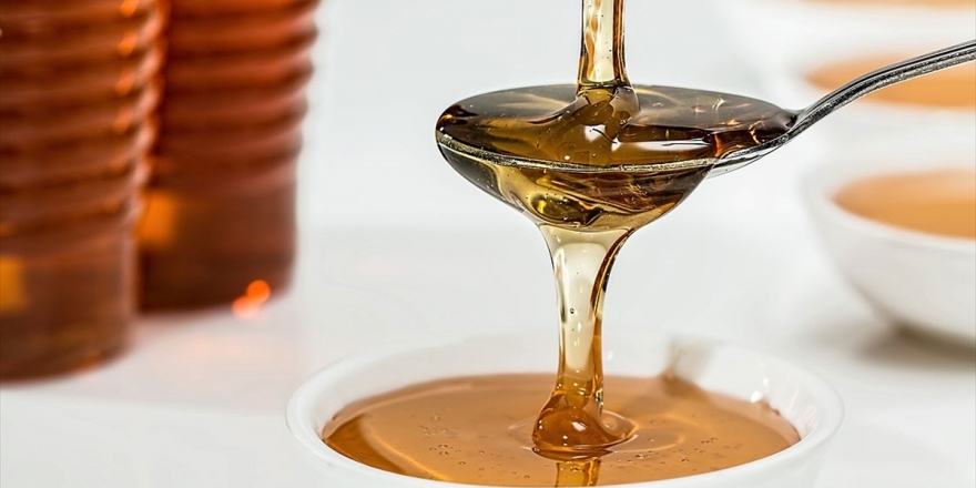 Türk Balına En Çok İlgi Gösteren Ülke Almanya Oldu