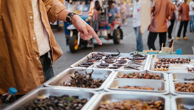 Yeni Salgına Sebep Olabilir...