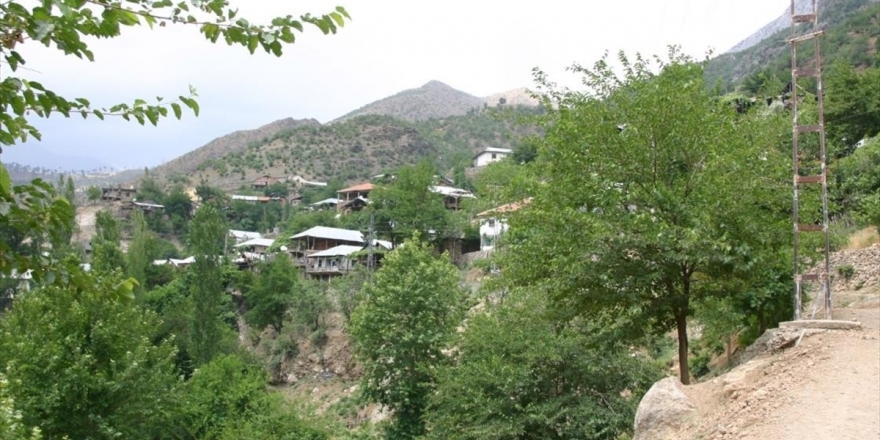 Kayseri'de Mahalle Fırınında Ekmek Pişiren 40 Kadının Testi Pozitif Çıktı