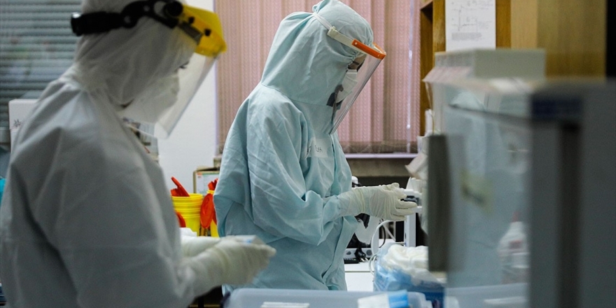 Dünya Genelinde Kovid-19'dan İyileşenlerin Sayısı 50 Milyonu Geçti