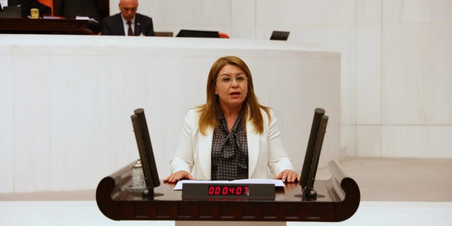 CHP'li Karaca'dan AKP'li Tin'e Özür Tepkisi