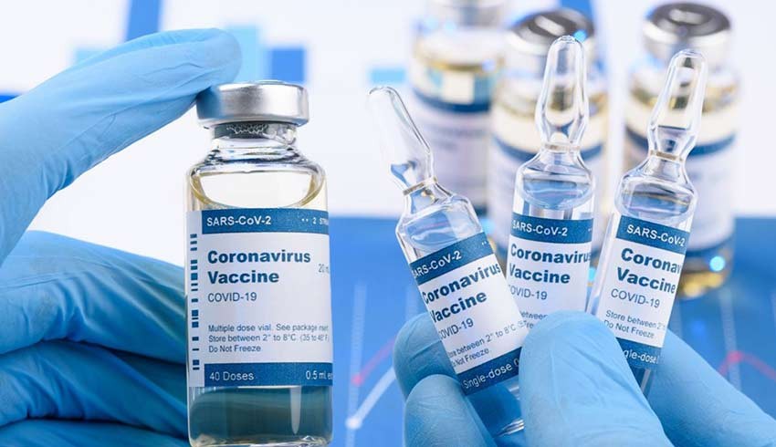 İşte korona aşısının tam içeriği: Domuz yok, alkol var