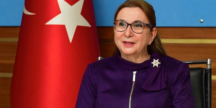 Bakan Pekcan: En Kısa Sürede Birleşik Krallık İle İmzalayacağımız Anlaşmayı Paylaşmayı Umuyoruz