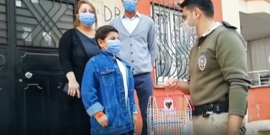 Bakan Soylu Kaplumbağasından Ayrı Düşen Eymen'e Muhabbet Kuşu Hediye Etti
