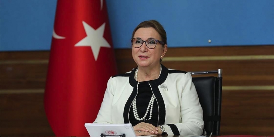 Bakan Pekcan: Amacımız Birleşik Krallık İle Serbest Ticaret Anlaşmasını Bir An Önce İmzalamak