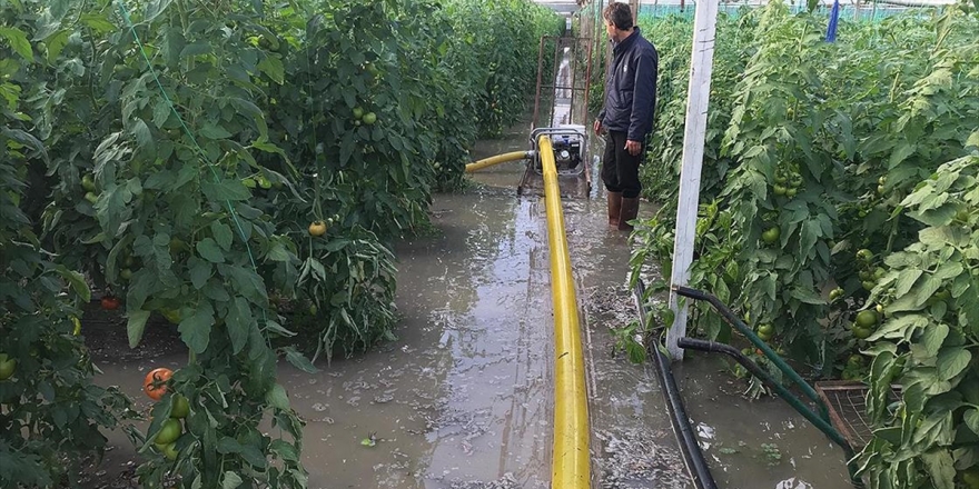 Kaş'ta Sağanak Nedeniyle Seraları Su Bastı