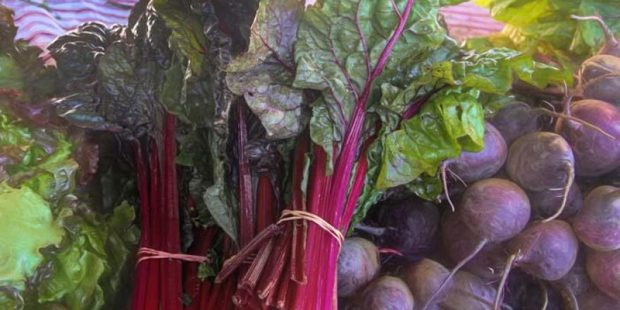 Pandemide en etkili besin belli oldu