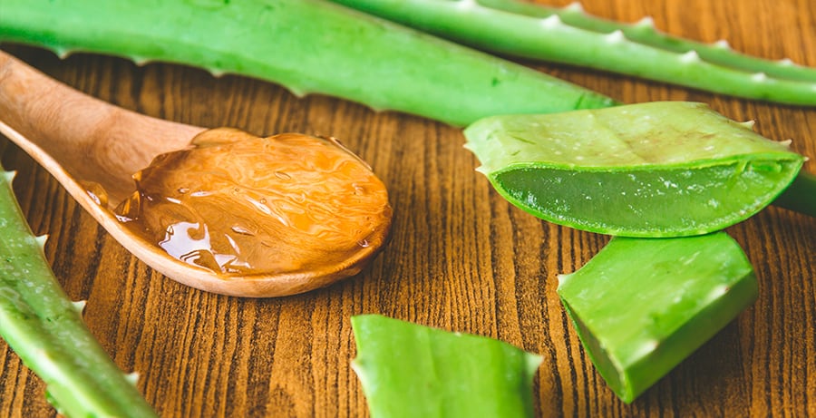 Aloe Vera Bitkisinin Faydaları Nelerdir?