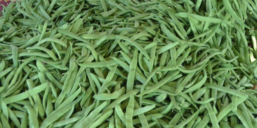Aralıkta En Çok Taze Fasulyenin Fiyatı Arttı