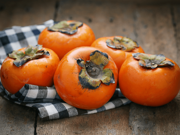 Cennet hurmasının bu yılki fiyat ve kalitesi üreticinin yüzünü güldürüyor