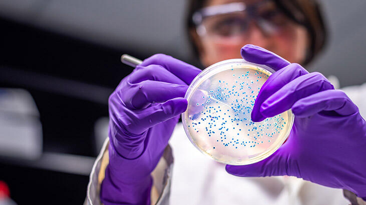 ABD'nin Ulusal Güvenlik Danışmanı Pottinger: