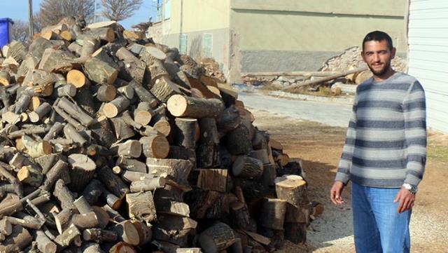 Doğramacının Kestiği Ağacın Gövdesinden "Ay yıldız" Figürü Çıktı