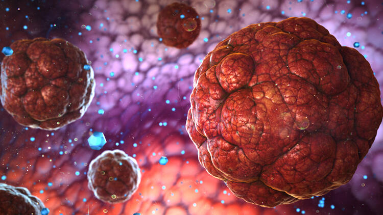 Oxford Üniversitesi: Yeni tehlike Güney Afrika mutasyonu