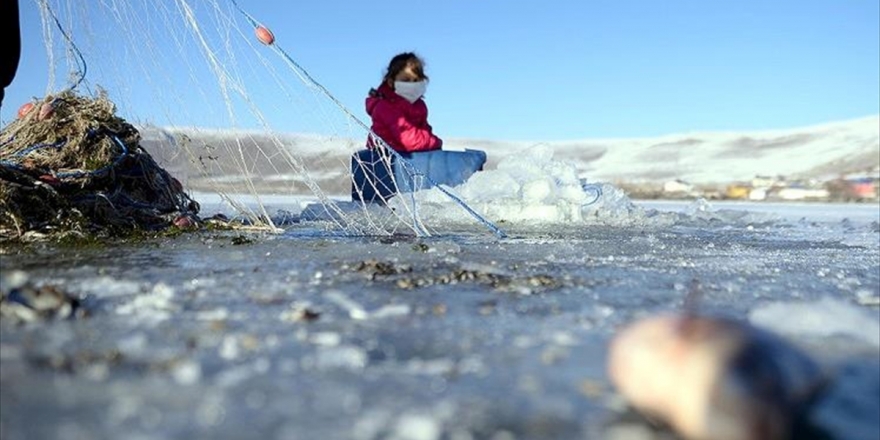 Buz Tutan Çıldır Gölü'nde Eskimo Usulü Avcılık Başladı