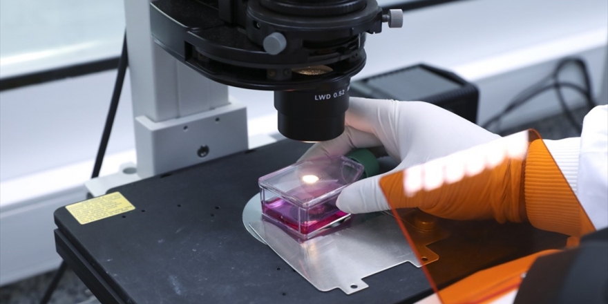 Sma Tedavileri Yüksek Fiyatları Ve Belirsiz Etkinliğiyle Tartışma Yaratıyor