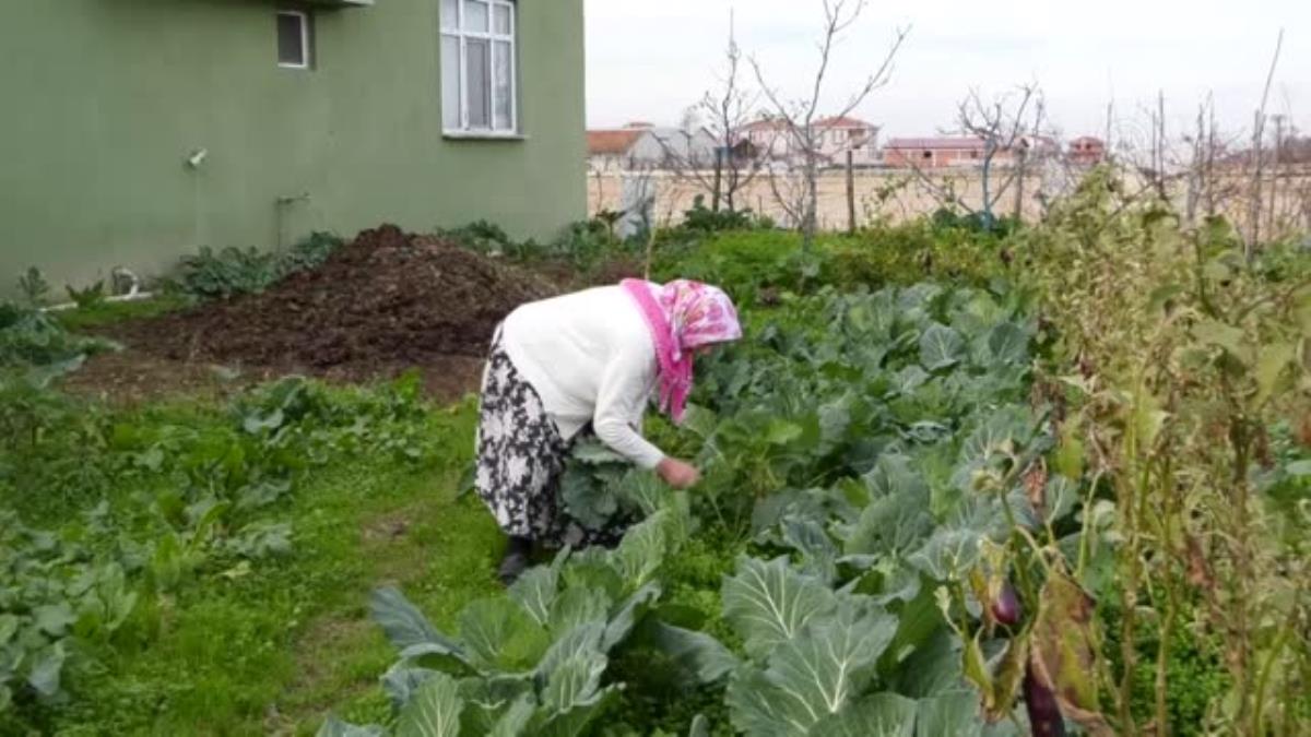 Samsunlu 90 Yaşındaki Kadın Kovid-19'u Yendi