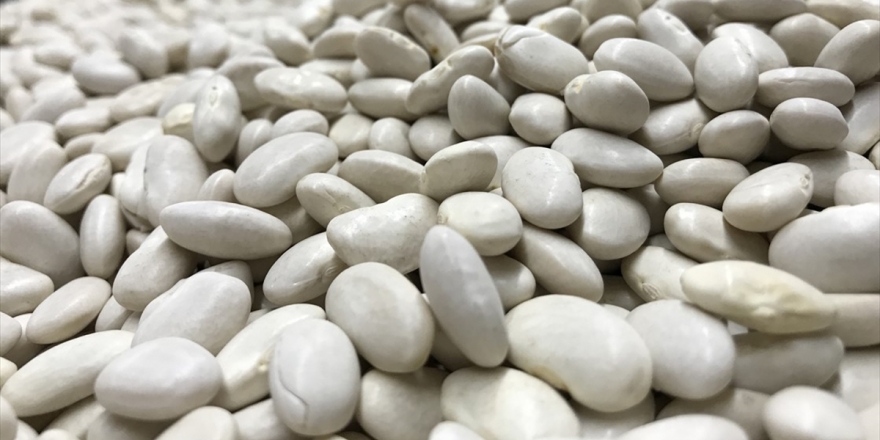 Stratejik Tarım Ürünleri Geçen Yılı Verim Artışıyla Kapattı