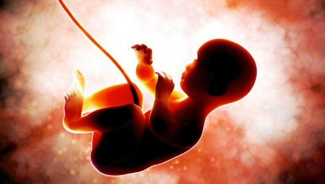 Kordon kanında bulunan kök hücreler, ağır Covid-19 hastalarının hayatta kalma olasılığını iki kat artırdı